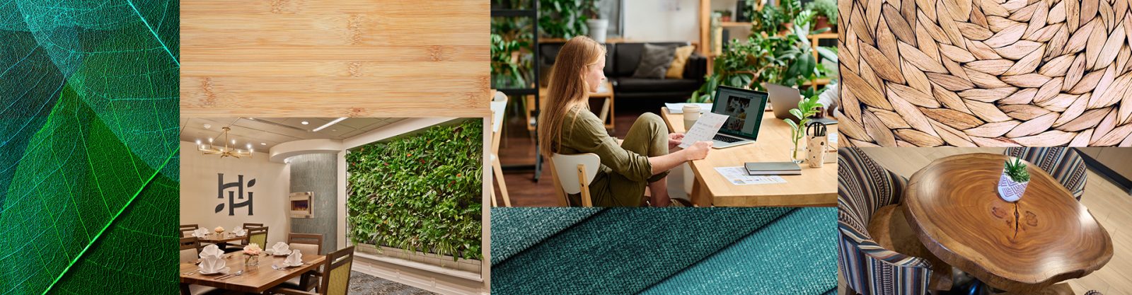 Nature Connections: Biophilic Design Strategies for Interior Spaces