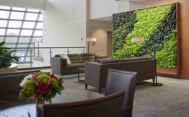 A green wall behind comfortable seating area